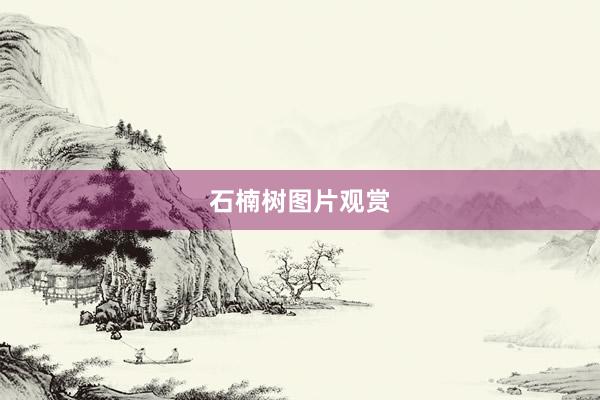 石楠树图片观赏
