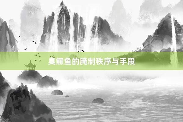臭鳜鱼的腌制秩序与手段