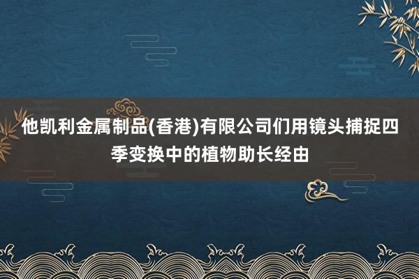他凯利金属制品(香港)有限公司们用镜头捕捉四季变换中的植物助长经由