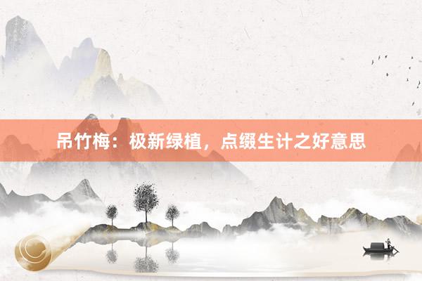 吊竹梅：极新绿植，点缀生计之好意思