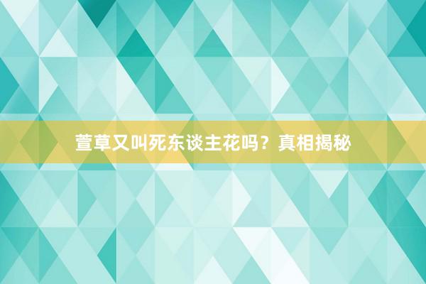 萱草又叫死东谈主花吗？真相揭秘