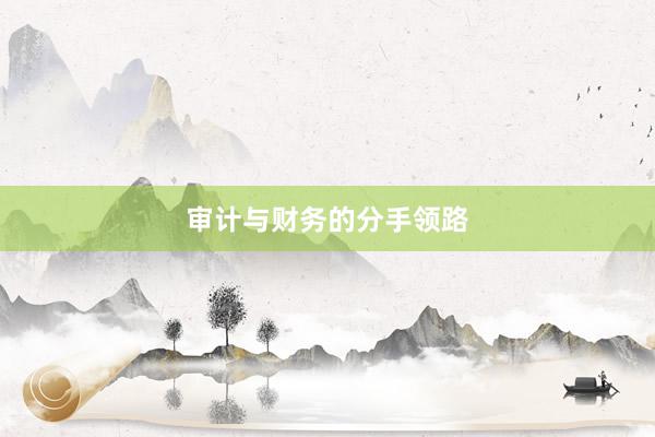 审计与财务的分手领路